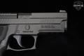 Sig Sauer P229 Legion 9mm Luger Legion Gray in Excellent Condition Image 5