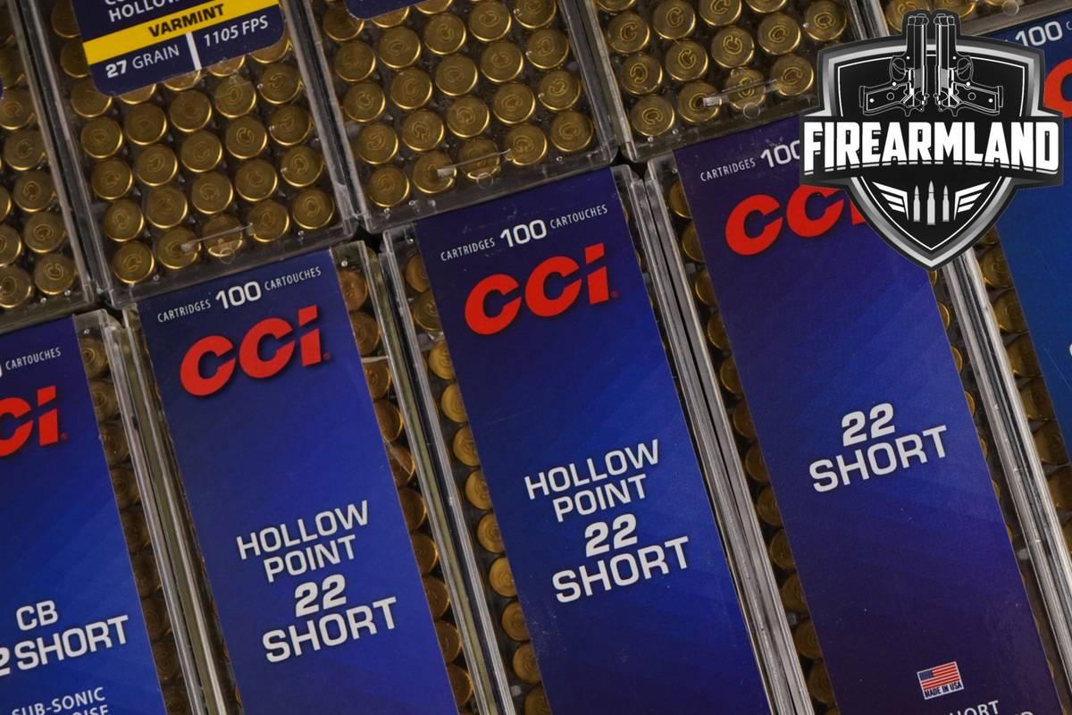 3000 RDS! 22 Short Ammo Ammunition