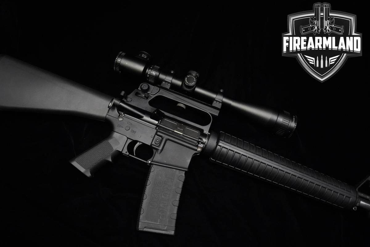 DS Arms ZM4 223 Wylde AR-15 AR15 AR 20" ZM4 AR-15-AR15 AR Z-M4 ZM-4 OPTIC