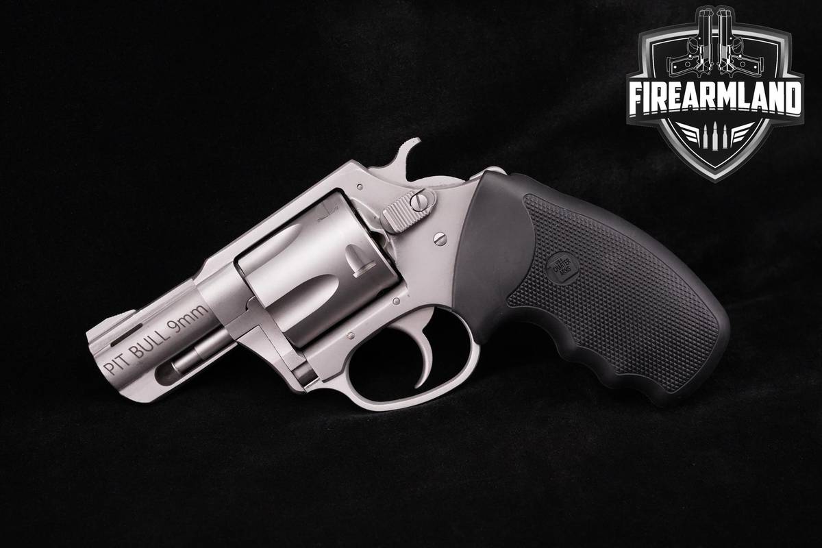 CARRY Charter Arms Model Pit-Bull 9mm 2.2" Stainless CA +ORIG BOX