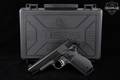 Tisas 1911 Carry Stingray .45 ACP Two-Tone Black & Gray in Excellent Condition Image 2