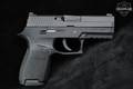Sig Sauer P250 Compact 9mm Luger Black in Good Condition Image 3