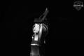1991 Smith & Wesson (S&W) Model 686-3 .357 Mag. Stainless Steel in Good Condition Image 4