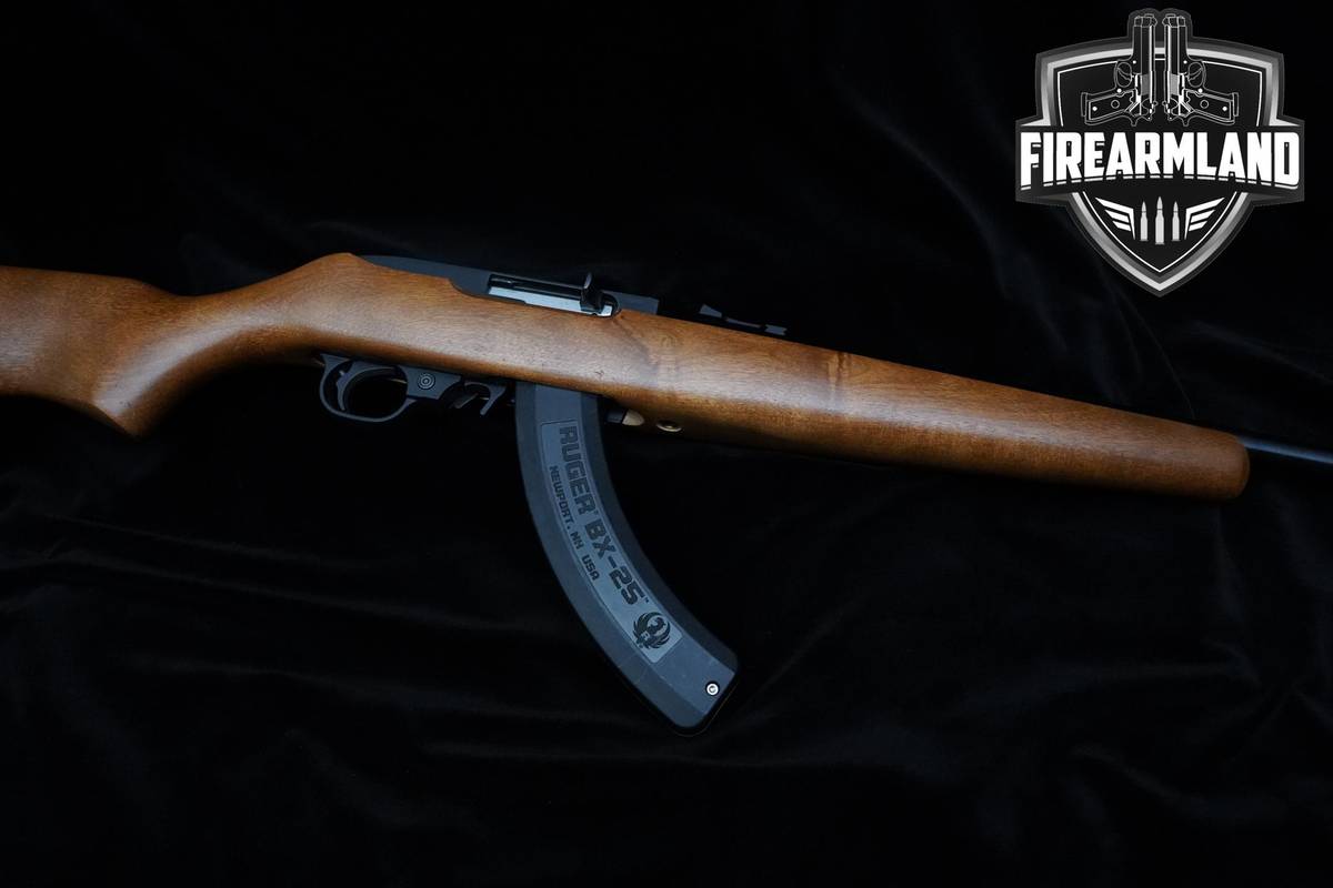 Ruger 10/22 22LR 20" Blued 10/22 Ruger 1022 10-22 +2 MAGS