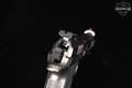 Beretta 92X Performance Carry Optic 9mm Luger Nistan in Excellent Condition Image 5