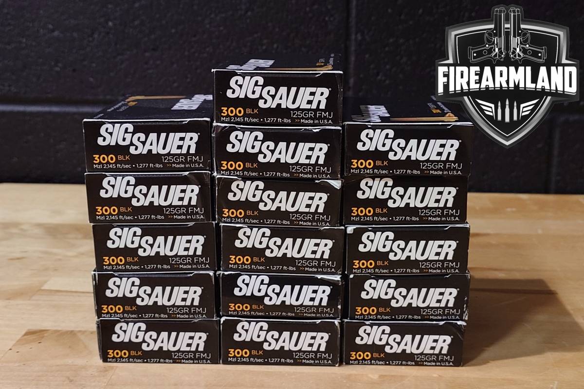 320 RDS! 300 Blackout Ammo 300-BLK-AAC