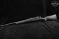 Mossberg Patriot Synthetic .308 Win. Blued & Synthetic in Very Good Condition Image 2