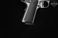 Tisas USA 1911 Duty SS45 .45 ACP Silver in Very Good Condition Image 4