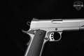 Tisas USA 1911 Duty SS45 .45 ACP Silver in Very Good Condition Image 5