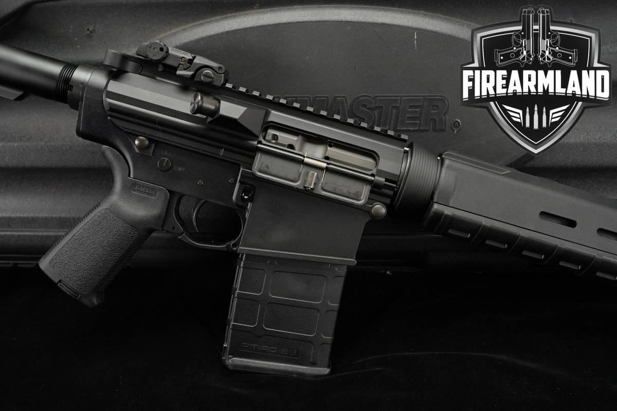 Bushmaster BR-308 MOE 308Winchester AR-10 AR10 BR308 +5 MAGS & ORIG CASE