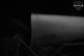 Savage Arms MODEL 11 .223 Rem. Blued in Very Good Condition Image 3