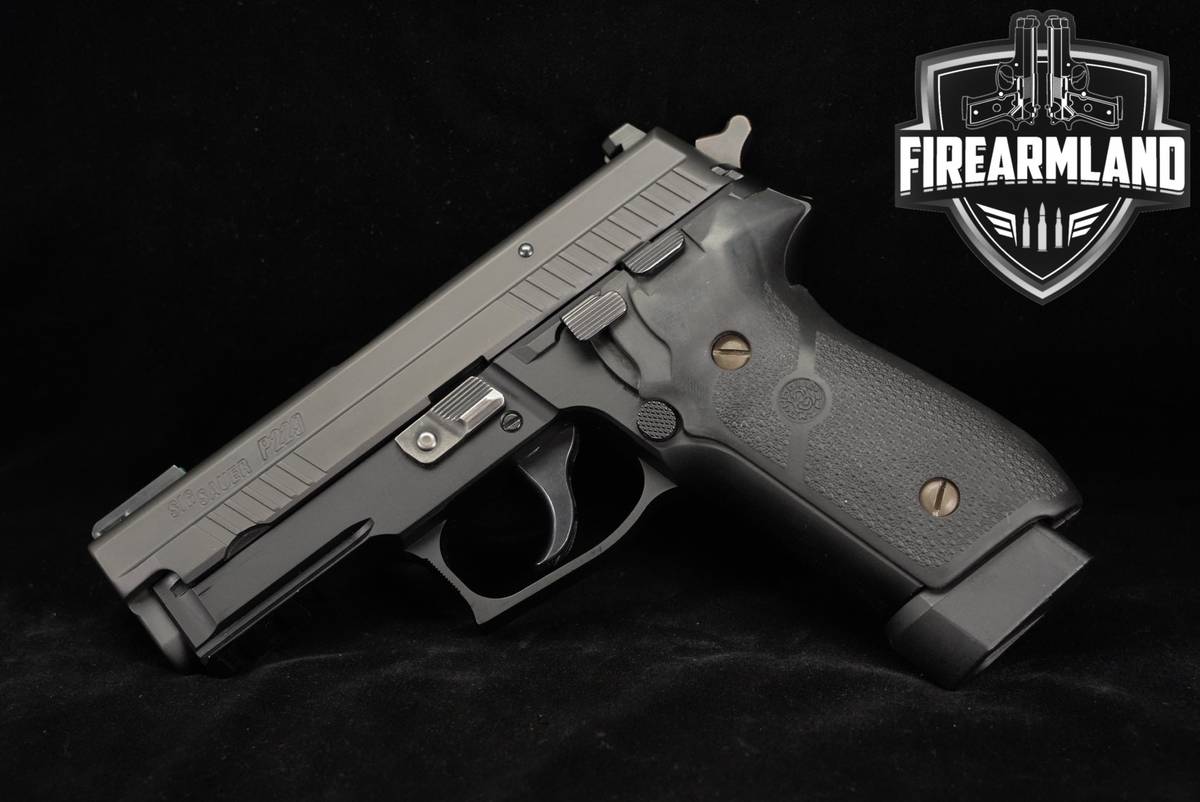 Sig Sauer P229 R 9mm 3.9" Two-Tone Gray & Black P 229 DA/SA