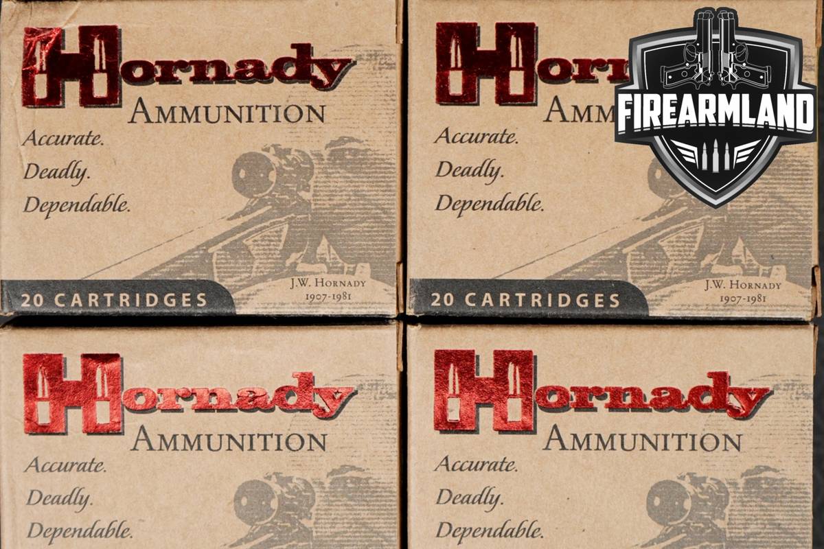 120 RDS! 454 Casull Ammo Ammunition