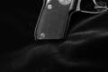 Beretta 21A Bobcat .22 LR Black Bruniton in Good Condition Image 3