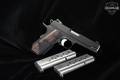 Dan Wesson Guardian 9mm Luger Black in Good Condition Image 2