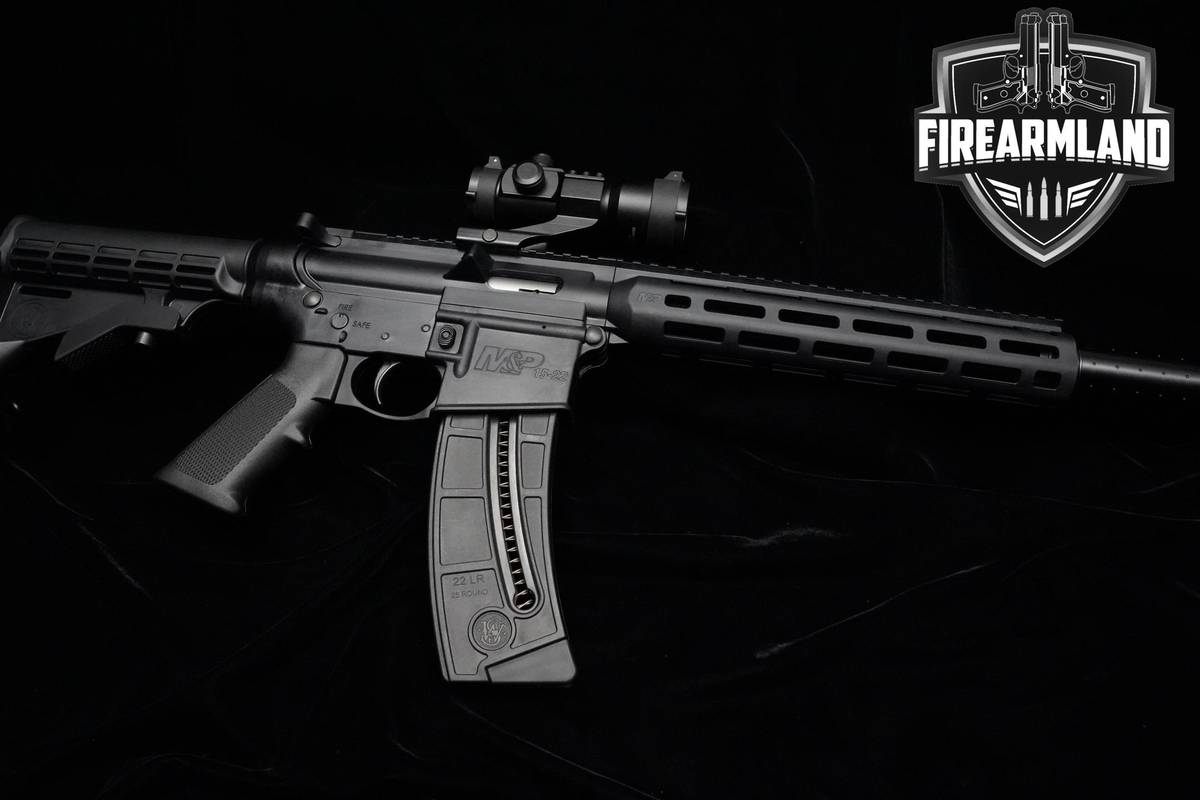 Smith & Wesson (S&W) M&P15-22 Sport 22LR 16.25" S&W M&P15-22 2 MAGS & OPTIC