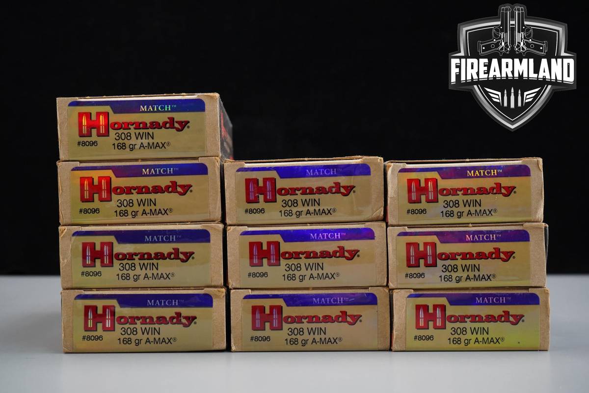 200 RDS! 308 Winchester Ammo 308Win