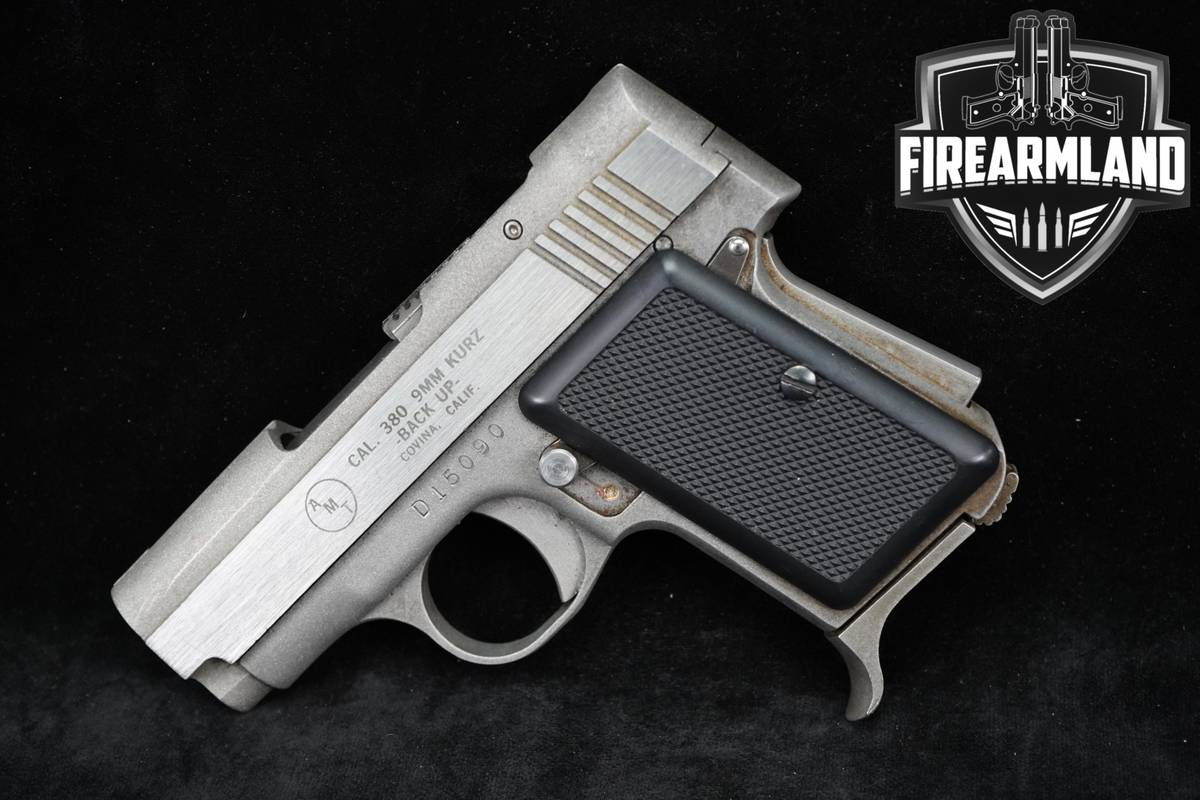 POCKET-PISTOL AMT Back Up Small Frame SAO 380 ACP 2.5" Stainless Defense