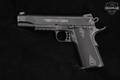 Walther Government Model Rail Gun .22 LR Black in Good Condition Image 3