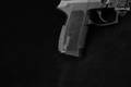 Sig Sauer SP2022 9mm Luger (9x19 Para) Black in Good Condition Image 4