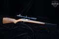 Marlin Firearms Co. Model 60 .22 LR Blued in Excellent Condition Image 2