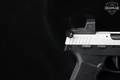 2023 Sig Sauer P322 Comp .22 LR Two-Tone in Excellent Condition Image 5