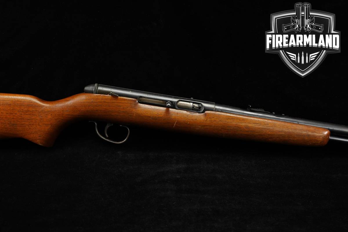 Remington Model 550-1 22 S/L/LR 24" Hardwood
