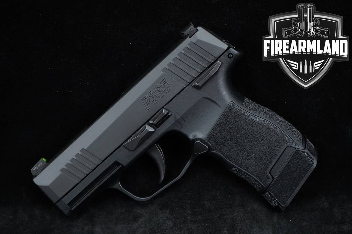 CONCEAL-CARRY Sig Sauer P365 9mm 3.1" P 365 +3 MAGS, ORIG CASE & HOLSTER