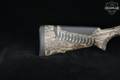 2020 Benelli Super Black Eagle 3 12 Gauge Mossy Oak Bottomland in Very Good Condition Image 4