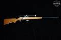 Marlin Firearms Co. Glenfield Model 25 .22 S/L/LR Blued in Good Condition Image 3