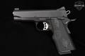 Kimber Pro Carry II .45 ACP Two-Tone Gray in Excellent Condition Image 5