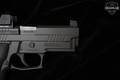 Sig Sauer P229 Legion 9mm Luger Legion Gray in Excellent Condition Image 5