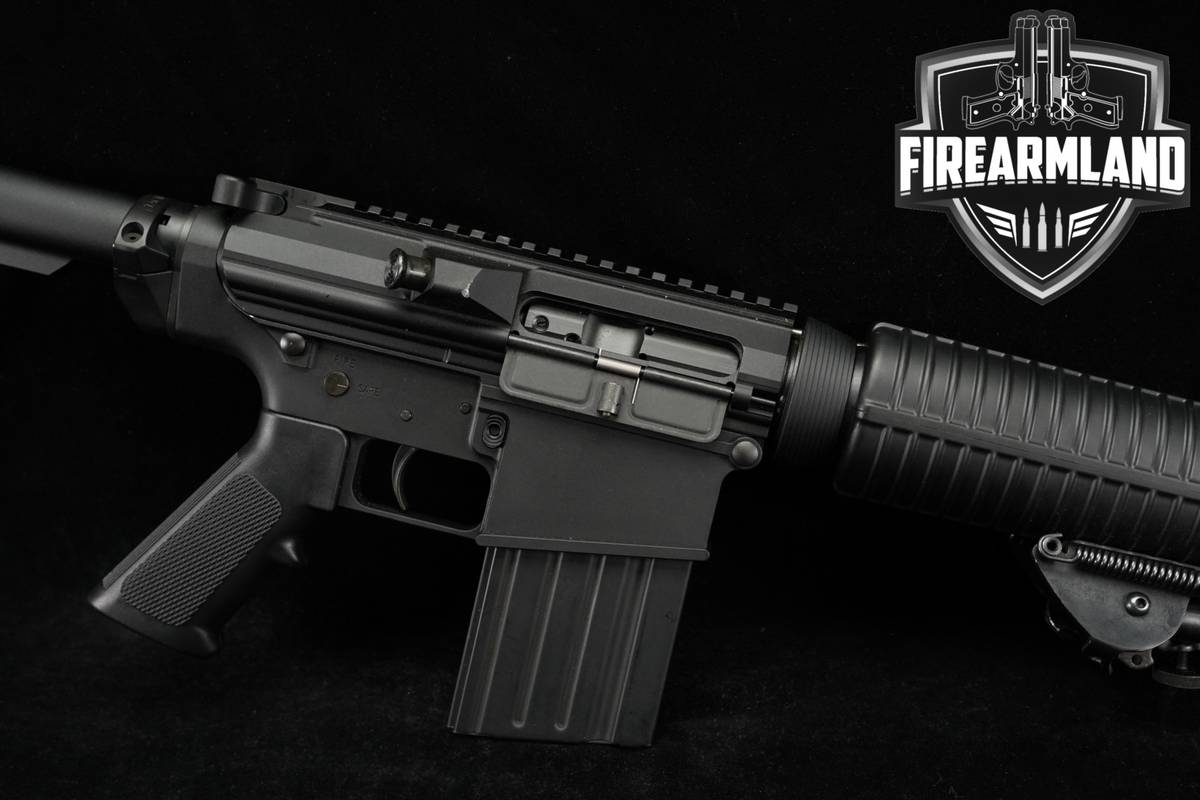 DPMS Panther Arms Mod LR-308 308Winchester AR-10 AR10 LR308 +2 MAGS, BIPOD