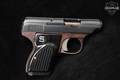 Sterling Arms International Model 302 .22 LR Blued in Very Good Condition Image 3