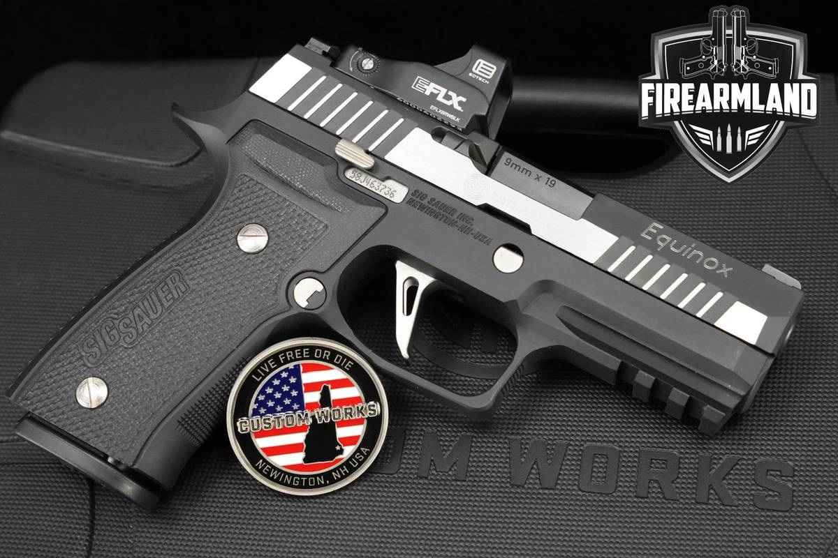 Sig Sauer P320 Equinox 9mm Sig-Sauer P320-Equinox +3 MAGS & EOTECH EFLX