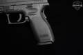 Springfield Armory XD9 9mm Luger Black in Excellent Condition Image 4