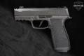 Sig Sauer P365-AXG Legion 9mm Luger Legion Gray in Excellent Condition Image 3
