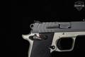 Springfield Armory 911 .380 ACP Two-Tone in Good Condition Image 5