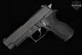 Sig Sauer P227 Full-Size; PSP Liquor Control Enforcement; Special Configuration .45 ACP Black in Excellent Condition Image 4