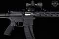 paperwork Smith & Wesson (S&W) M&P15-22 .22 LR Black in Good Condition Image 5