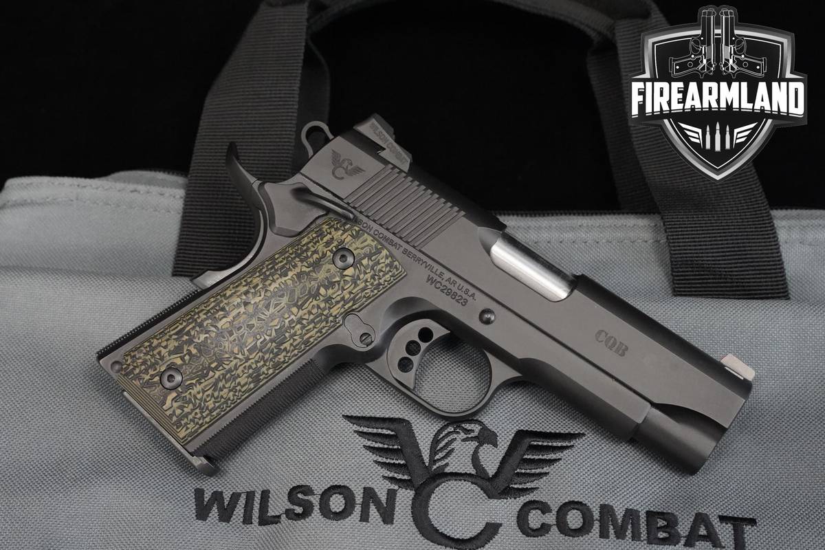 Wilson Combat (WC) 1911 CQB Compact 9mm 1911-CQB Wilson-Combat 1911 +6 MAGS