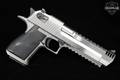 Magnum Research Desert Eagle Mark XIX .50 AE Stainless in Very Good Condition Image 4
