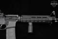 Palmetto State Armory (PSA) PA-15 5.56mm NATO Black in Excellent Condition Image 5