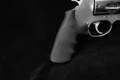 Smith & Wesson (S&W) Model 460 XVR .460 S&W Mag. Brushed Stainless in Very Good Condition Image 4
