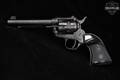 1983 Tanfoglio TA 76 .22 LR Unknown in Fair Condition Image 2