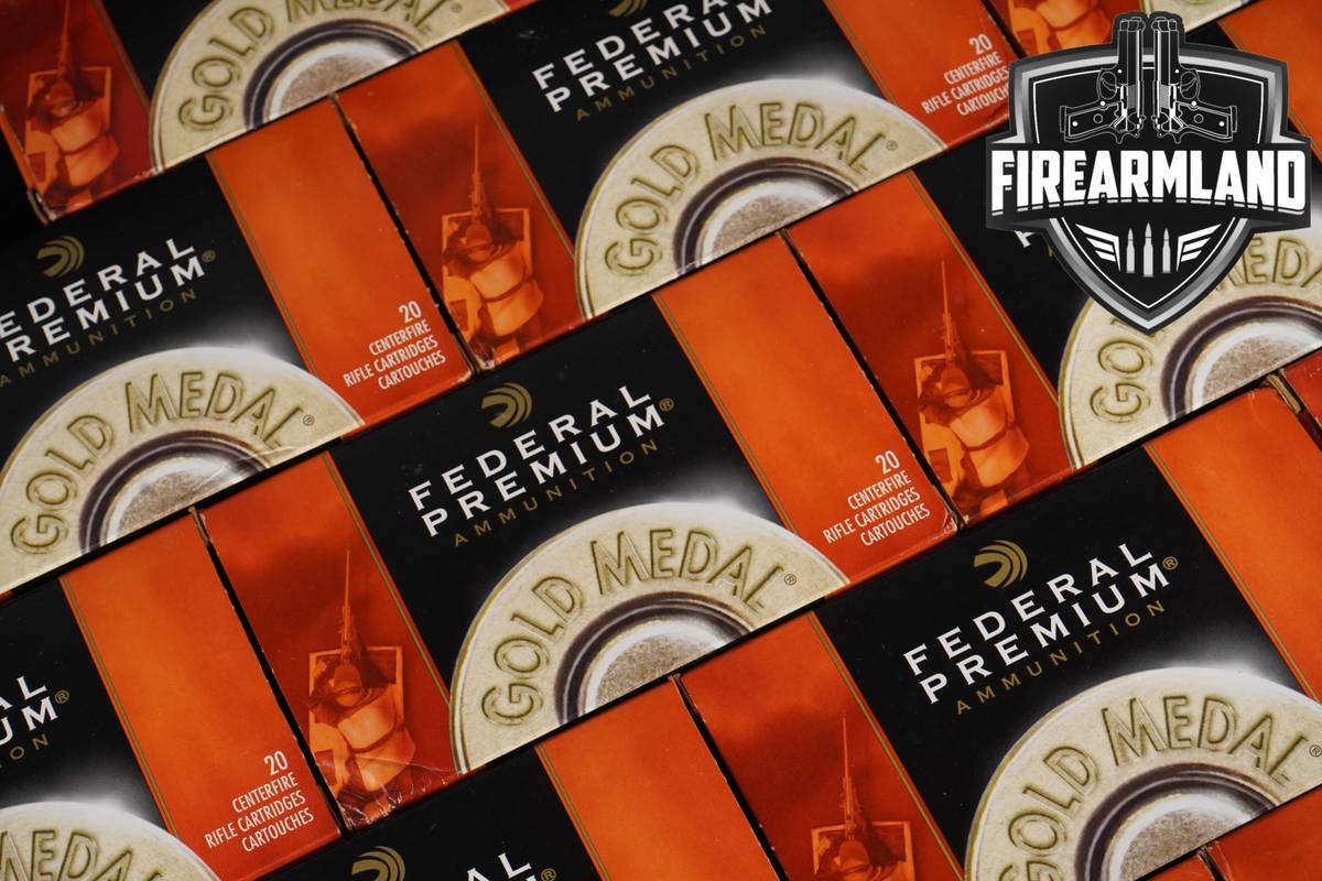 240 RDS! 308 NATO Ammo Ammunition