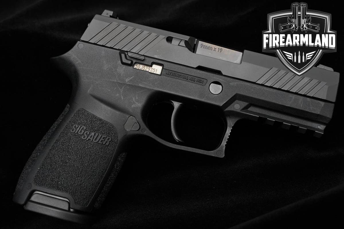 Sig Sauer P320 Nitron Compact 9mm 3.9" P320 Pistol P-320 +2 MAGS