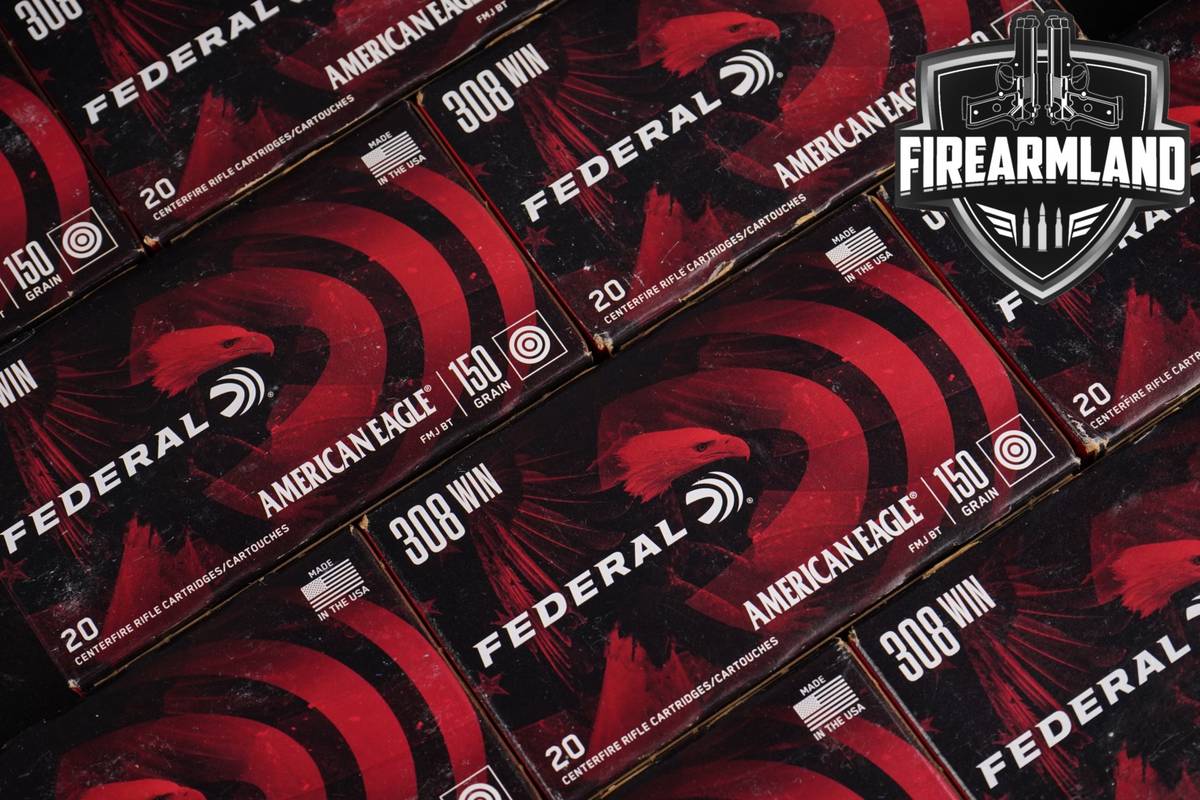 280 RDS! 308 Winchester Ammo Ammunition