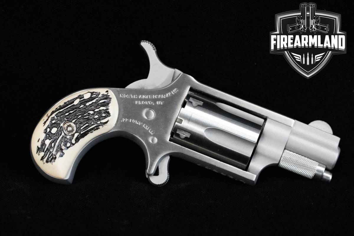 North American Arms (NAA) 22LR 1" Stainless Steel NAA 22LR SUB-COMPACT
