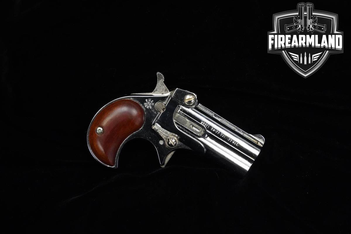 Davis Industries DM-22 Derringer 22 Magnum 2.3" DM-22 DM22 ORIG BOX